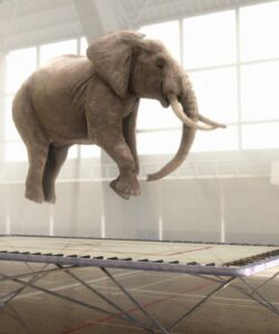 Filmbild aus dem Kurzfilm 7,3 Tonnen: Ein Elefant auf dem Trampolin